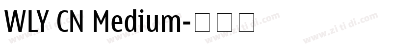 WLY CN Medium字体转换 WLY CN Medium字体转换